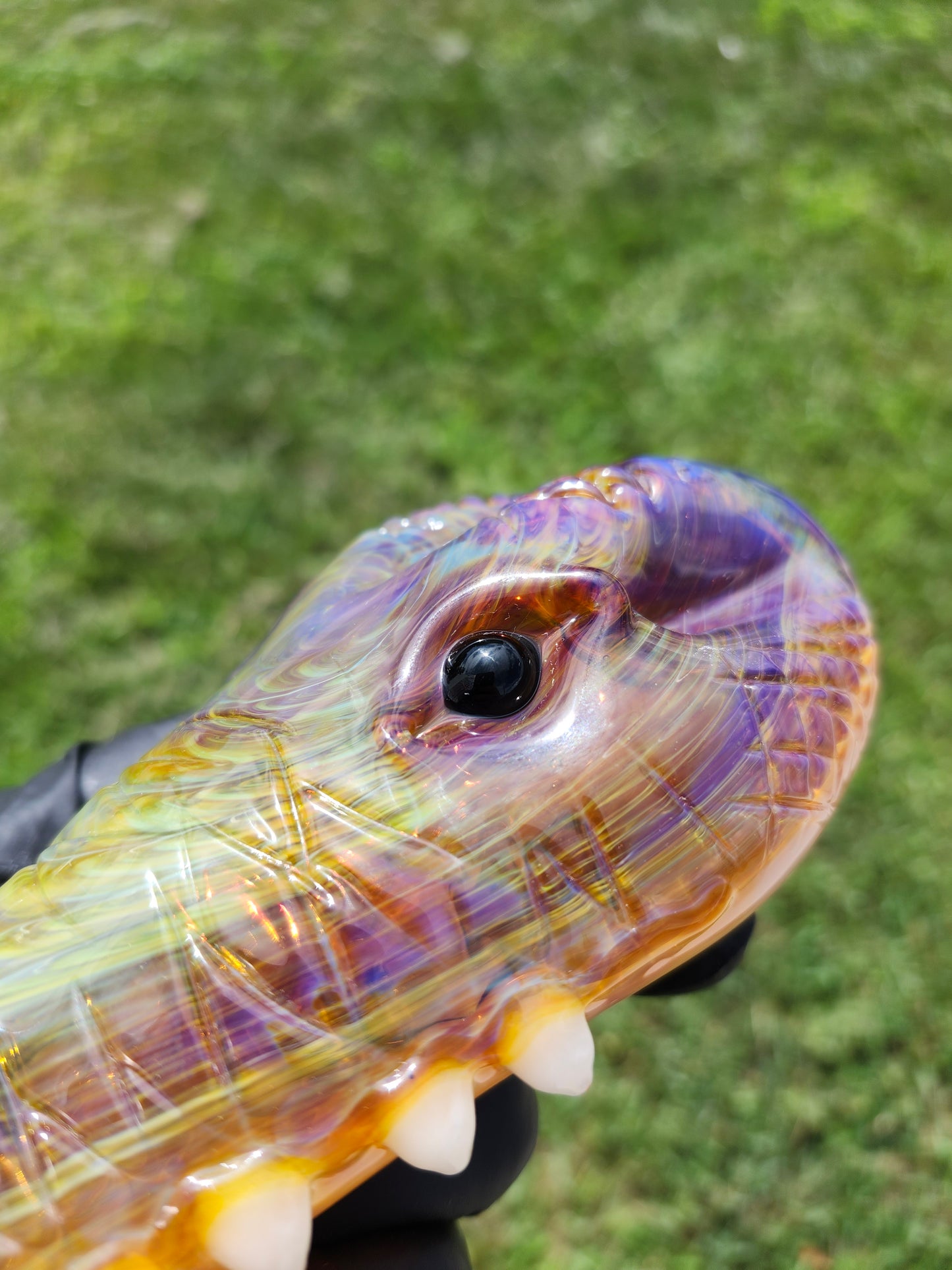 ADDISON HANNA GATOR