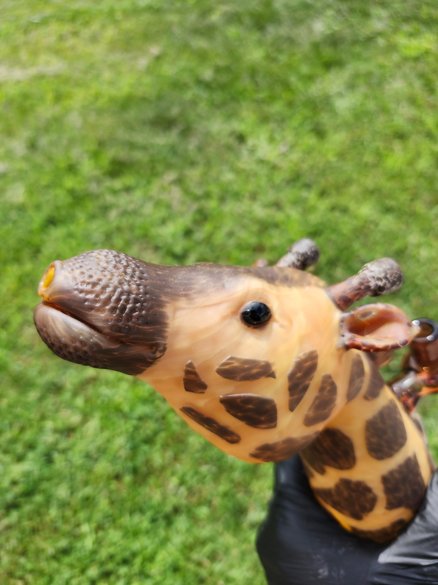 ADDISON HANNA GIRAFFE